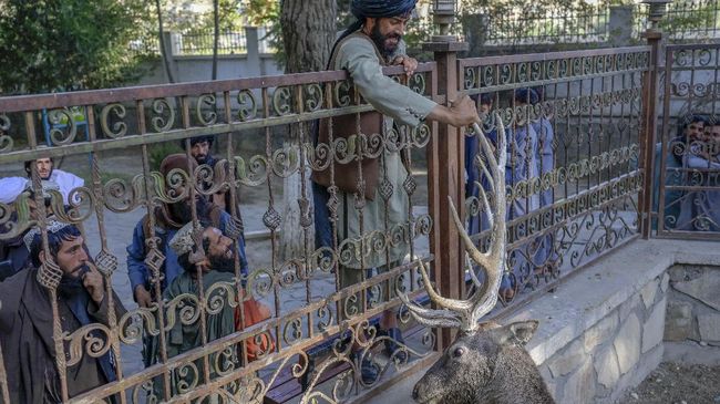 taliban piknik sembari patroli di kebun binatang kabul 4 169 Kilas Totabuan